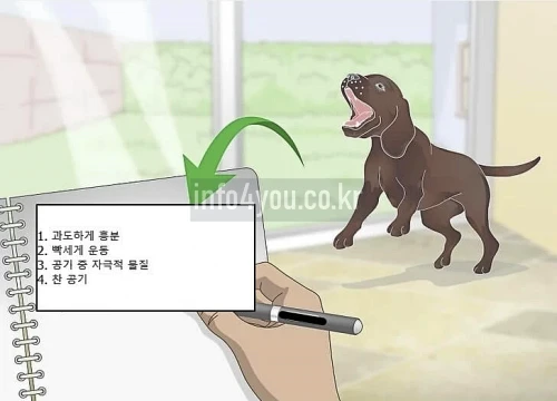 강아지 리버스 스니징 환경 점검